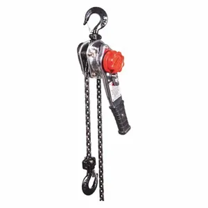 DAYTON 29XP37 Lever Chain Hoist 1500 lb Lift 20 feet | AF9EXM