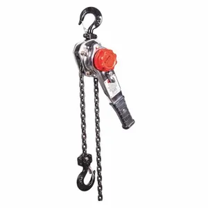 DAYTON 29XP38 Lever Chain Hoist 1500 lb Lift 5 feet | AF9EXN