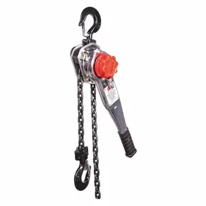 DAYTON 29XP40 Lever Chain Hoist 3000 lb Lift 20 feet | AF9EXQ