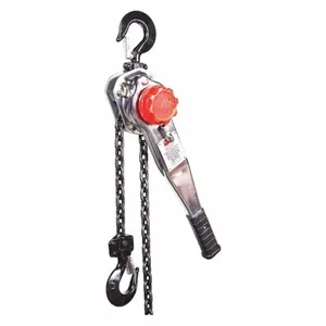 DAYTON 29XP41 Lever Chain Hoist 3000 lb Lift 5 feet | AF9EXR