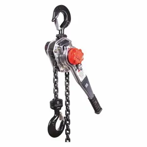 DAYTON 29XP42 Lever Chain Hoist 6000 lb Lift 10 feet | AF9EXT