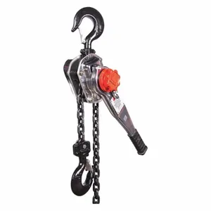 DAYTON 29XP43 Lever Chain Hoist 6000 lb Lift 20 feet | AF9EXU