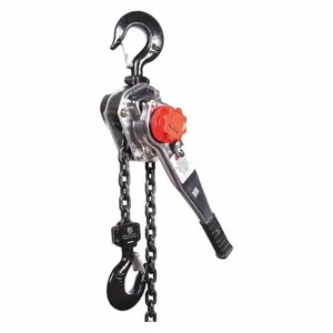 DAYTON 29XP44 Lever Chain Hoist 6000 lb Lift 5 feet | AF9EXV