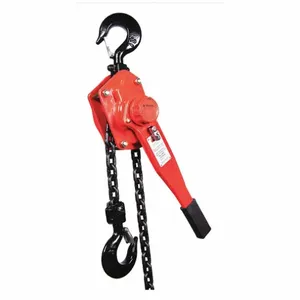 DAYTON 29XP52 Lever Chain Hoist 6000 lb Lift 20 feet | AF9EYD