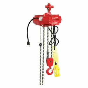 DAYTON 2GTD4 Electric Chain Hoist 800 Lb. 15 Feet | AB9YVY