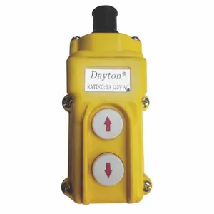 DAYTON 2GXJ6 Pendant Controller Assembly For H3 Hoist | AB9ZKN