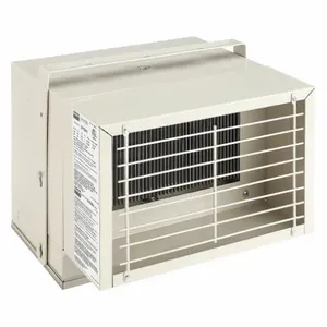 DAYTON 2HDA1 Freeze Protection Heater 2.5/1.95 Kw | AC2AEQ