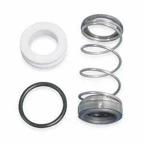 DAYTON 2WV87 Shaft Seal | CJ3HPK