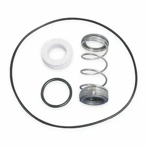 DAYTON 2WV89 Shaft Seal Kit | CJ3HPT