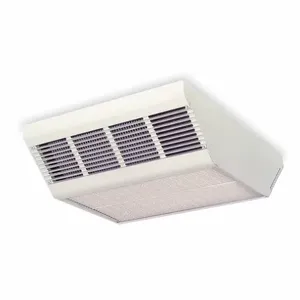 DAYTON 2YU42 Convection Ceiling Heater 277v 17 100btu | AC4DKY