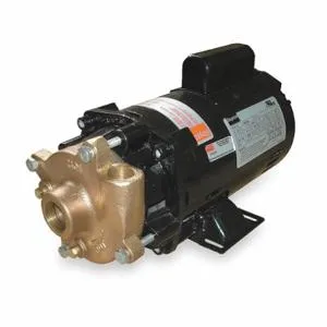 DAYTON 2ZWR9 Pump Centrifugal 1 Hp 1 Ph 115/230v | AC4HMU