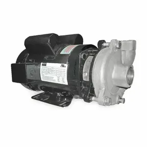 DAYTON 2ZWX1 Pump Centrifugal 3 Hp 1 Ph 230v | AC4HNP