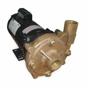 DAYTON 2ZWZ8 Centrifugal Pump 3/4 Hp 1 Ph 115/230v | AC4HPR