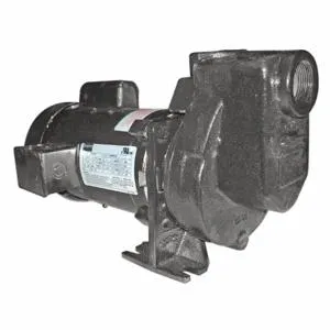 DAYTON 2ZXP7 Centrifugal Pump 2 Hp 1 Ph 115/208-230v | AC4HRY