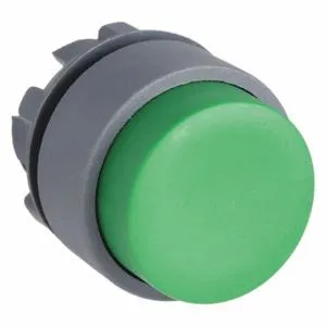 DAYTON 30G101 Push Button 22mm Green Momentary Extended | AC4NFN