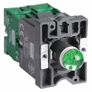 DAYTON 30G163 Lamp Module and Contact Block, Plastic Operators, Green, 2NO, 24V AC/DC, LED | CR2WTP