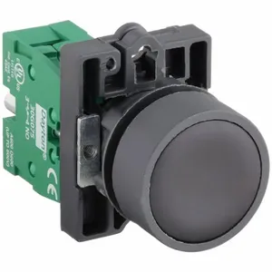 DAYTON 30G224 Non-illuminated Push Button 22mm 1no Black | AC4NLW