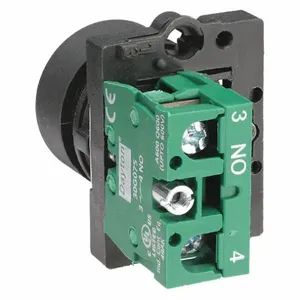 DAYTON 30G225 Non-illuminated Push Button 22mm 1no Green | AC4NLX