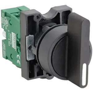 DAYTON 30G266 Selector Switch 2 Position Extended 22mm | AC4NNR