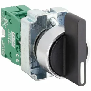 DAYTON 30G267 Selector Switch 2 Position Extended 22mm | AC4NNT