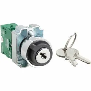 DAYTON 30G269 Selector Switch 2 Position Keyed 22mm | AC4NNV