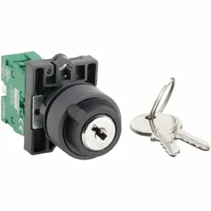 DAYTON 30G270 Selector Switch 2 Position Keyed 22mm | AC4NNW