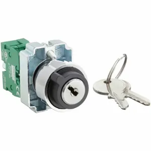 DAYTON 30G271 Selector Switch 2 Position Keyed 22mm | AC4NNX