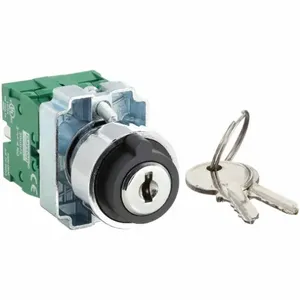 DAYTON 30G279 Selector Switch 3 Position Keyed 22mm | AC4NPF