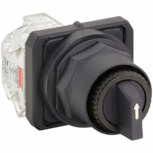 DAYTON 30G297 Selector Switch 2 Position Standard 30mm | AC4NQA