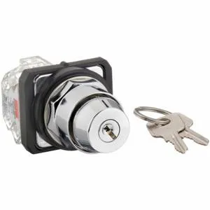 DAYTON 30G315 Selector Switch 2 Position Keyed 30mm | AC4NQU