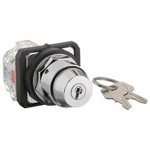 DAYTON 30G317 Selector Switch 2 Position Keyed 30mm | AC4NQW