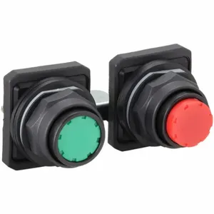 DAYTON 30G349 Push Button 30mm Maintained Red/Green | AC4NTF