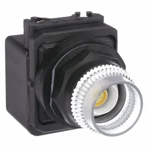 DAYTON 30G377 Pushbutton 120v 30mm Full Guard | AC4NUK