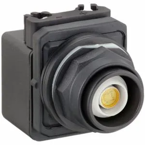 DAYTON 30G378 Pushbutton 120v 30mm | AC4NUL