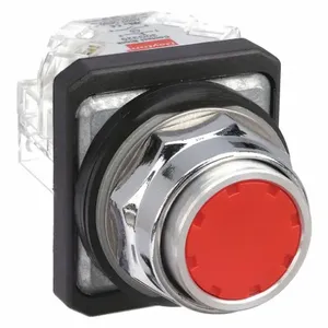 DAYTON 30G437 Non-illuminated Push Button 30mm 1no/1nc Red | AC4NWY