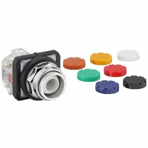 DAYTON 30G439 Non-illuminated Push Button 30mm 1no/1nc | AC4NXA