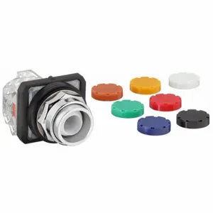 DAYTON 30G447 Non-illuminated Push Button 30mm 1no/1nc | AC4NXJ