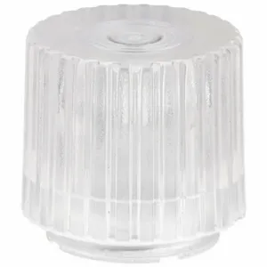 DAYTON 30G472 Illuminated Push Button Cap 30mm Clear | AC4NYL