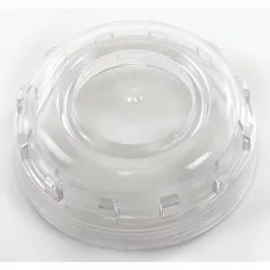 DAYTON 31UK84 Clear Dome Filter | CH9WLT