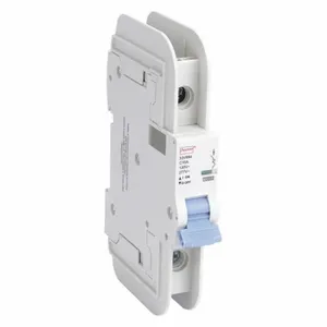 DAYTON 33V894 Circuit Breaker C Curve 10a 1p Ac/dc | AC6GLN