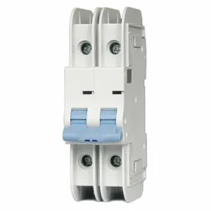 DAYTON 33V967 Circuit Breaker B Curve 32A 2P AC/DC | AC6GPR