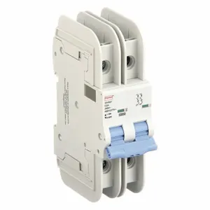 DAYTON 33V937 Circuit Breaker C Curve 2a 2p Ac/dc | AC6GNJ