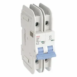 DAYTON 33V953 Circuit Breaker D Curve 10a 2p Ac/dc | AC6GPB