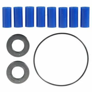 DAYTON 3430-0213 Repair Kit 8 Rollers | AH9KGU 3YB41