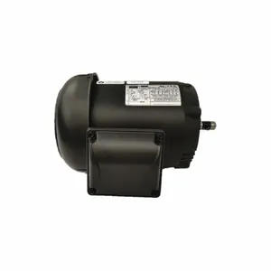 DAYTON 36VF21 GP Motor TEFC 2 HP 1745 rpm Belt Drive | AH7KMK