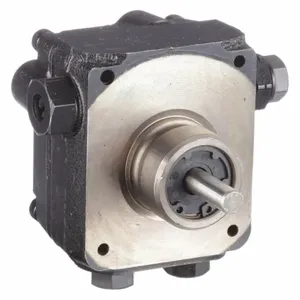 DAYTON 3740002600 Gear Pump | AH2FBL 26DG13