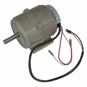 DAYTON 3970008100 Motor | AH2FCA 26DG26