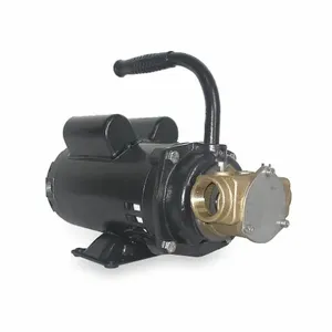 DAYTON 3ABZ6 Pump Bronze 3/4 Hp 115/230v 14.0/7.0 Amps | AC8GZK