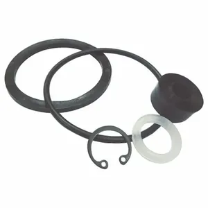 DAYTON 3BY4209 Seal and Gasket Kit | AG9YEH 23CJ71