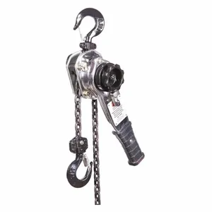 DAYTON 3TP92 Lever Chain Hoist 1650 Lb. 10 Feet Lift | AD2RLE